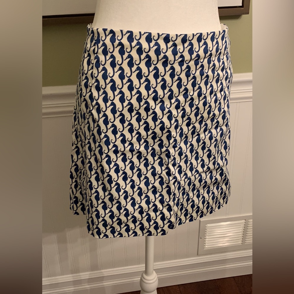 J. Crew Skirt
